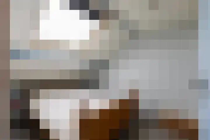 Lavendel 4 Nijverdal thumbnail 25