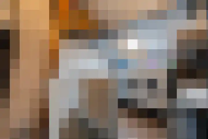Lavendel 4 Nijverdal thumbnail 27