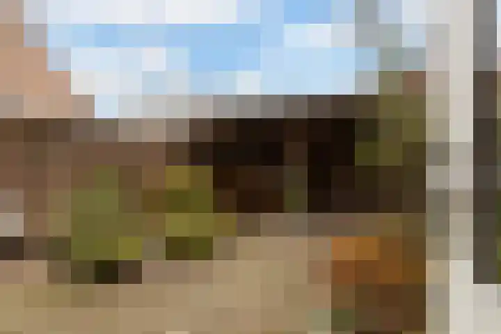 Lavendel 4 Nijverdal thumbnail 28