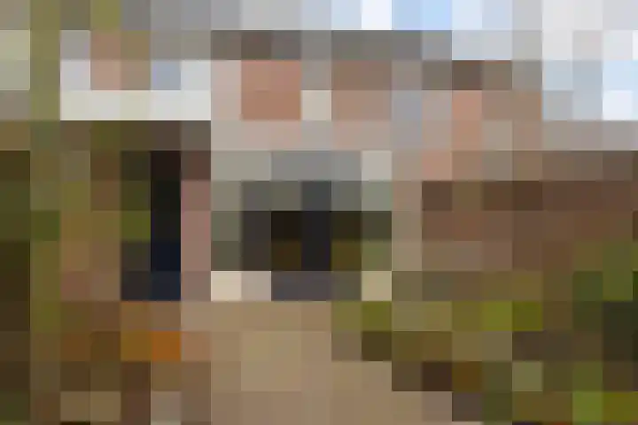 Lavendel 4 Nijverdal thumbnail 29