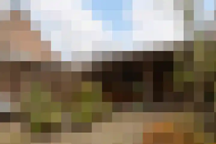 Lavendel 4 Nijverdal thumbnail 31