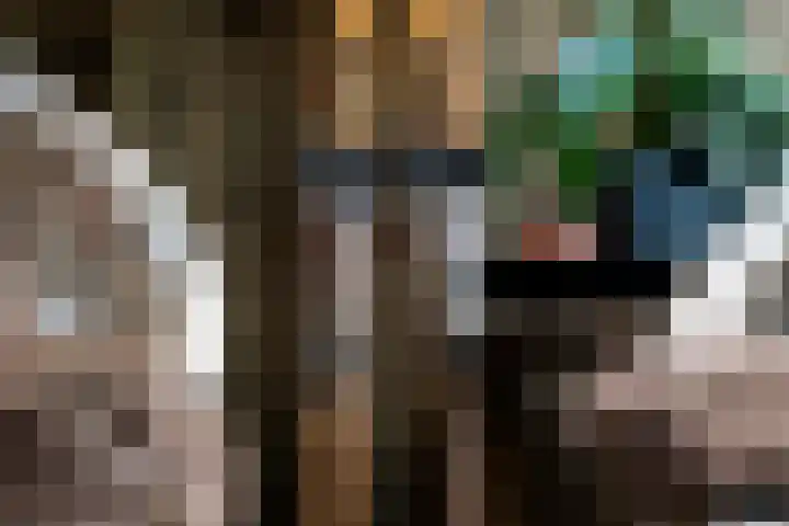 Lavendel 4 Nijverdal thumbnail 32