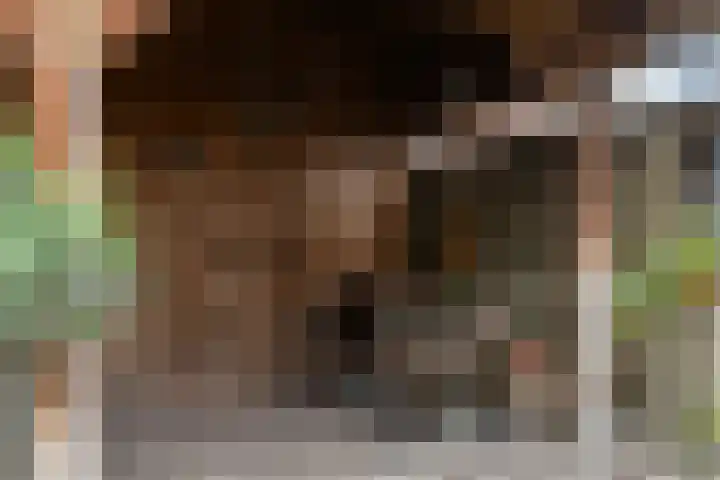 Lavendel 4 Nijverdal thumbnail 33