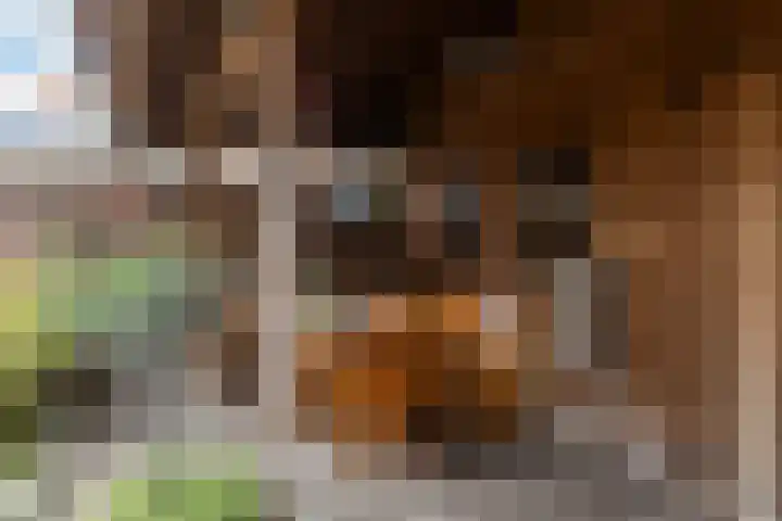 Lavendel 4 Nijverdal thumbnail 34