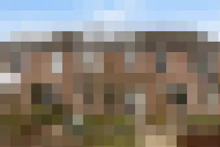 Lavendel 4 Nijverdal thumbnail 36