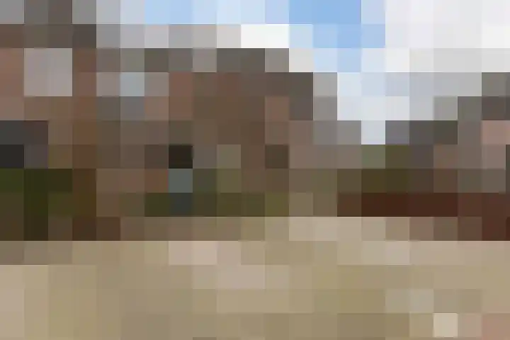 Lavendel 4 Nijverdal thumbnail 37