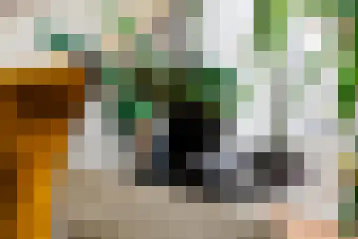Lavendel 4 Nijverdal thumbnail 4
