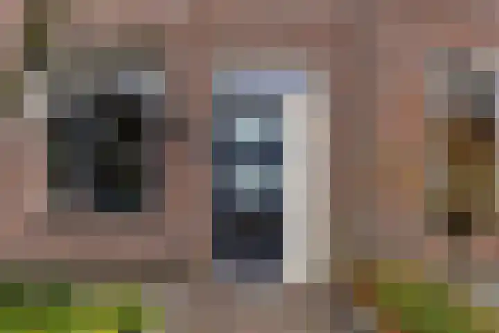 Lavendel 4 Nijverdal thumbnail 5