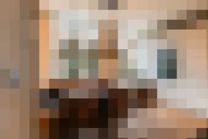 Lavendel 4 Nijverdal thumbnail 9