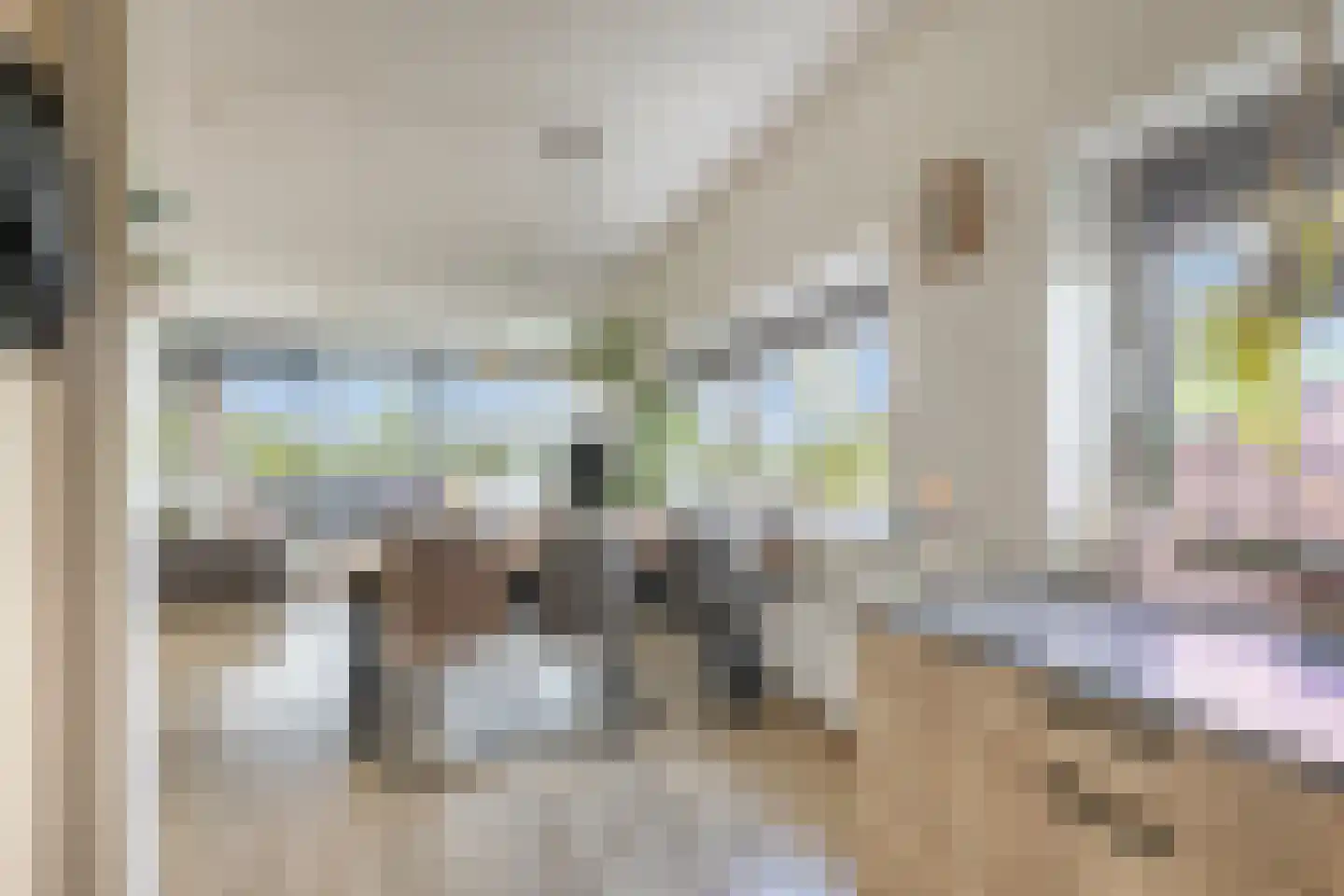 Lavendel 413 Cuijk thumbnail 21