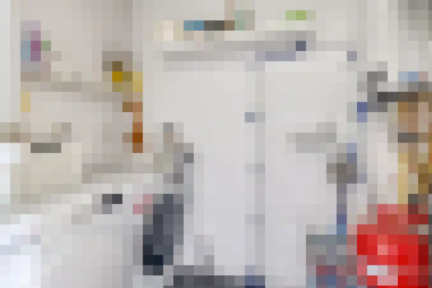 Lavendel 413 Cuijk thumbnail 30