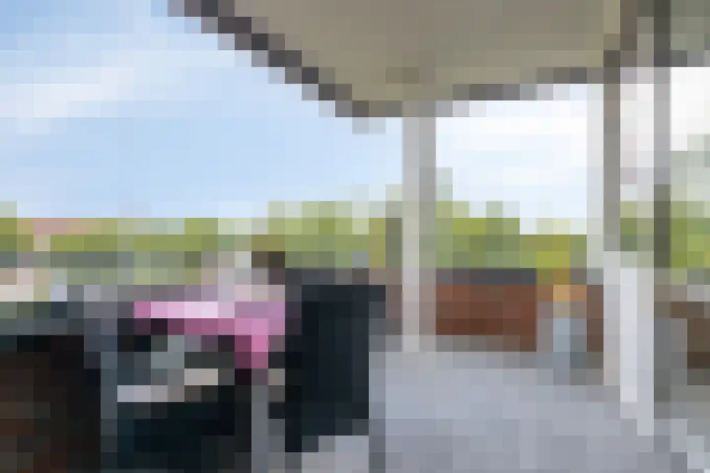 Lavendel 413 Cuijk thumbnail 31