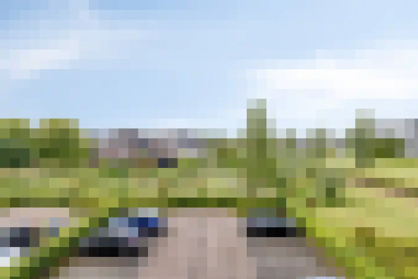 Lavendel 413 Cuijk thumbnail 34