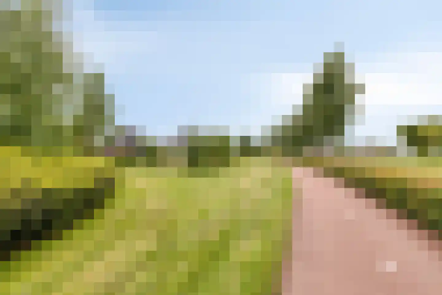 Lavendel 413 Cuijk thumbnail 38