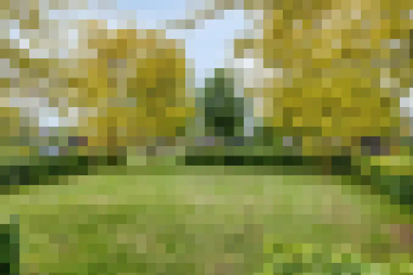 Lavendel 413 Cuijk thumbnail 39
