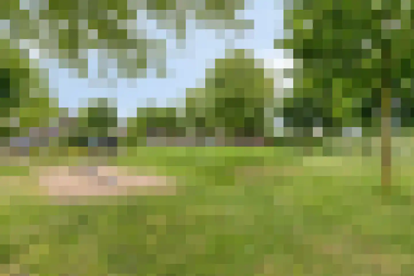 Lavendel 413 Cuijk thumbnail 40