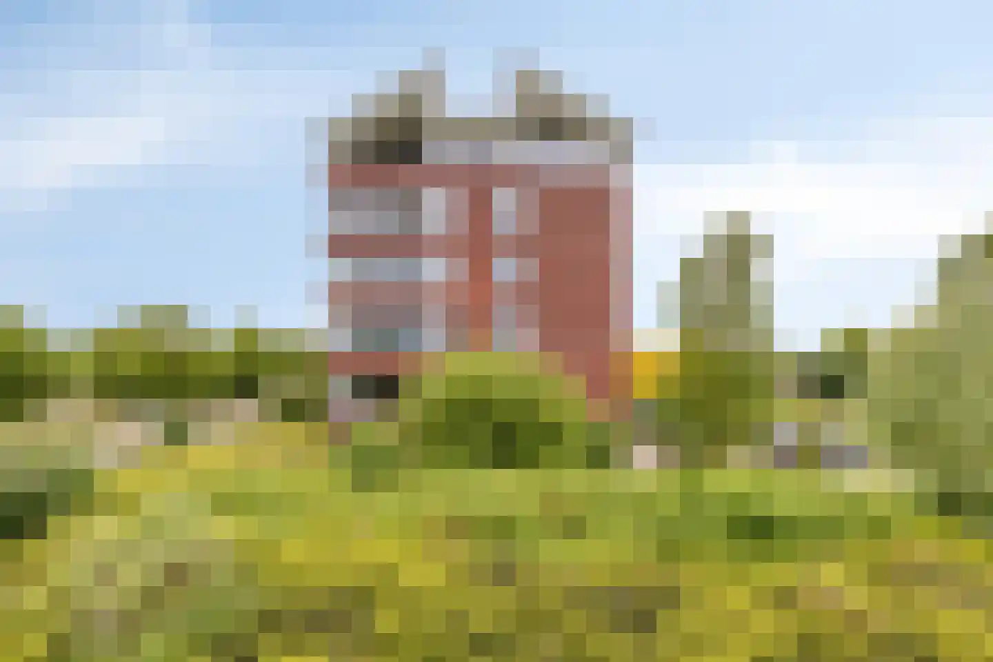 Lavendel 413 Cuijk thumbnail 5