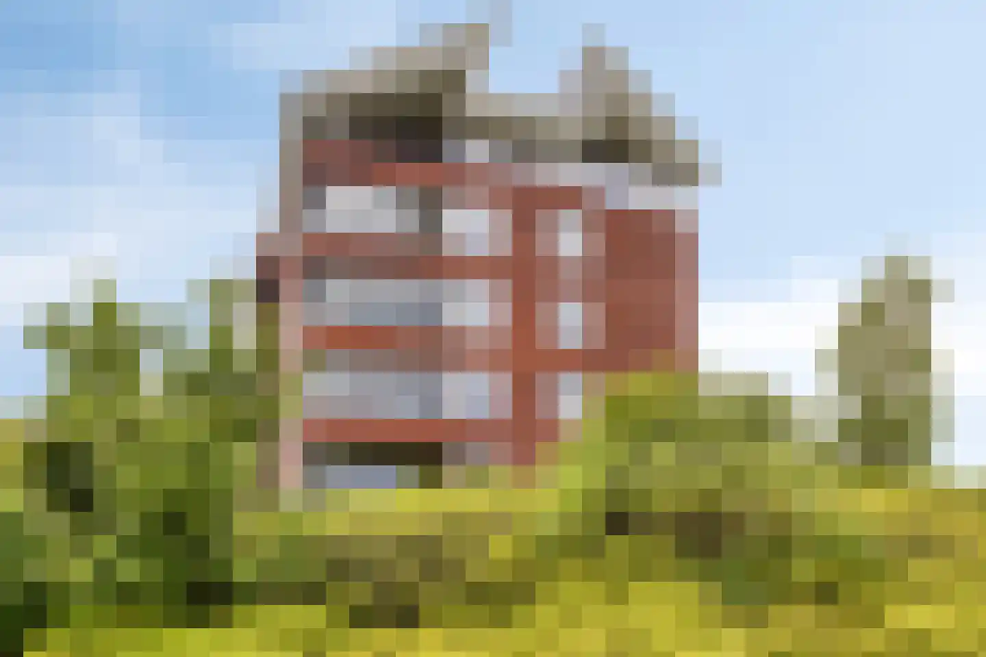 Lavendel 413 Cuijk thumbnail 6