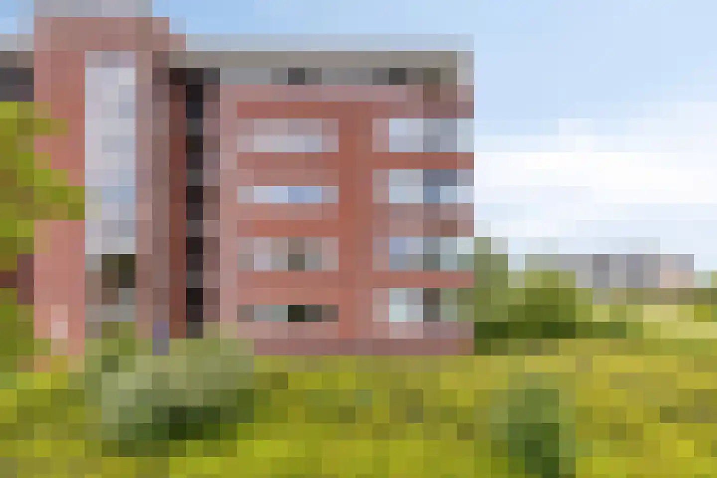 Lavendel 413 Cuijk thumbnail 7
