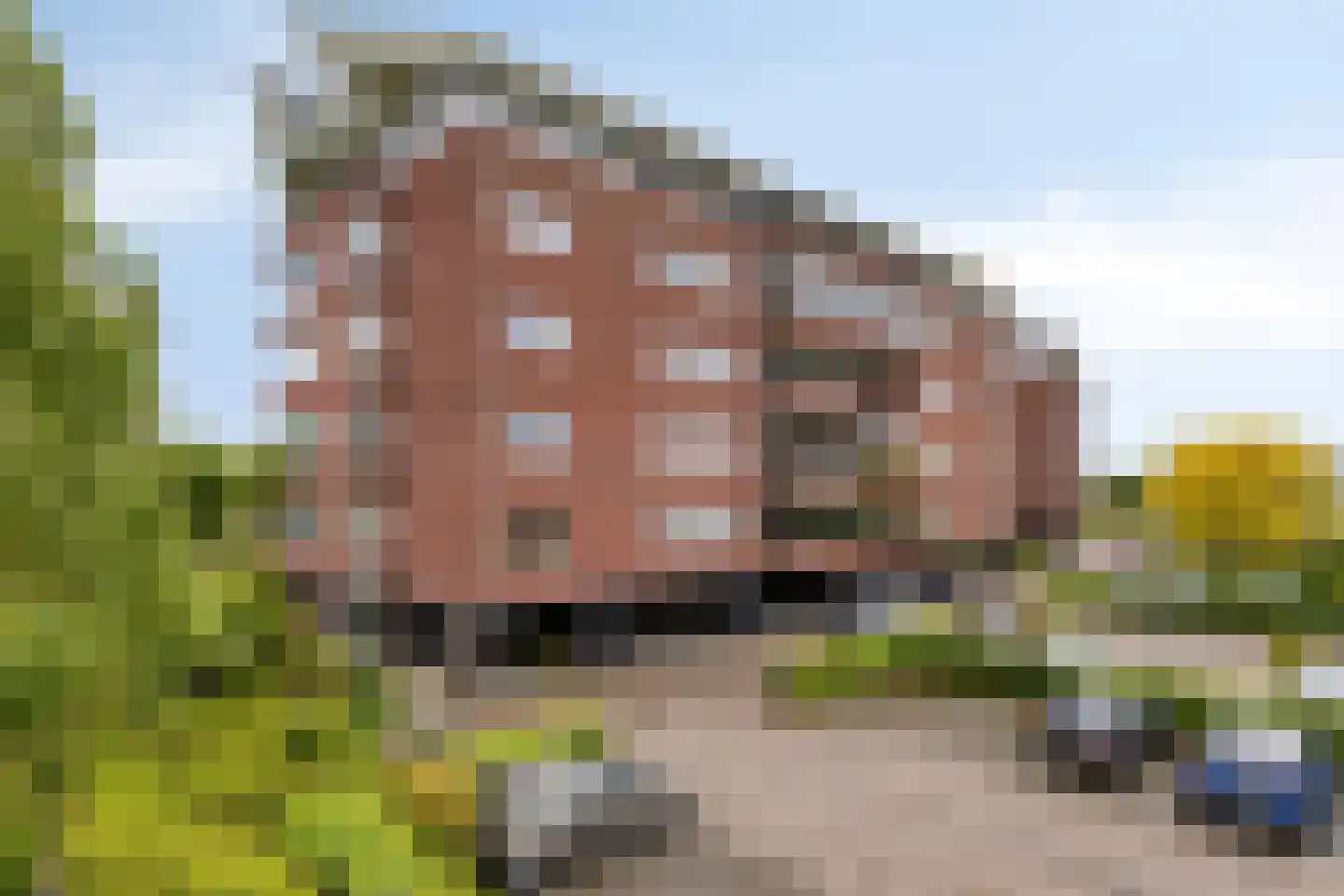 Lavendel 413 Cuijk thumbnail 9
