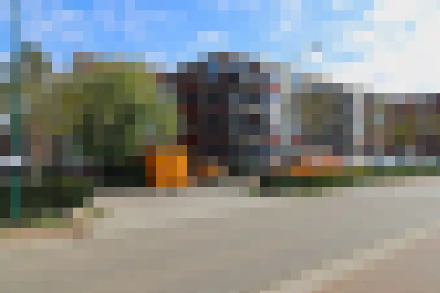 Lavendel 424 Cuijk thumbnail 13