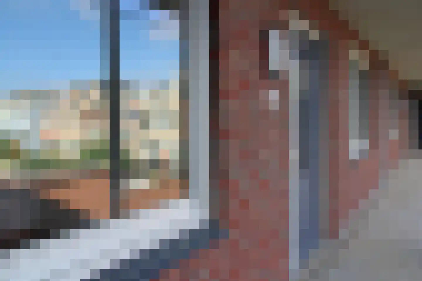 Lavendel 424 Cuijk thumbnail 17