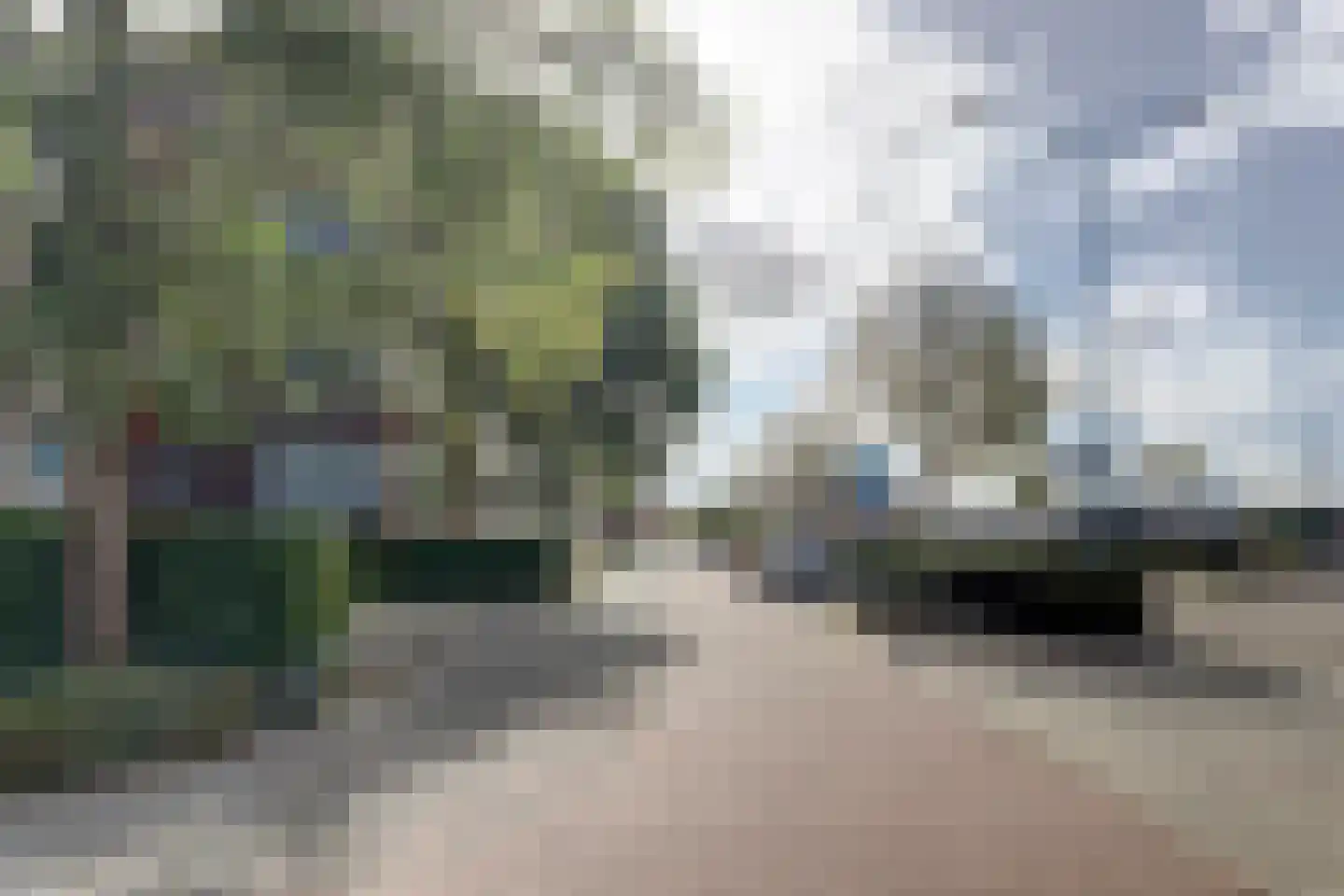 Lavendel 428 Cuijk thumbnail 10