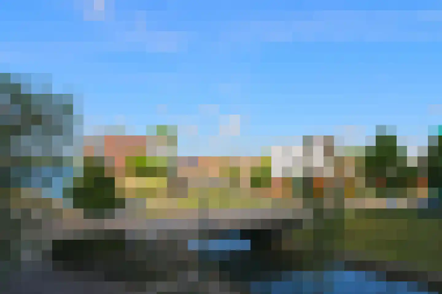 Lavendel 428 Cuijk thumbnail 41