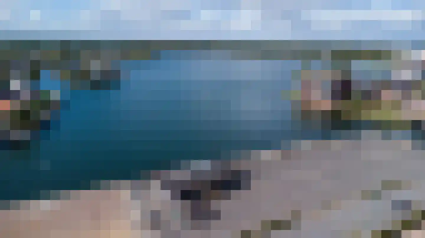 Lavendel 428 Cuijk thumbnail 5