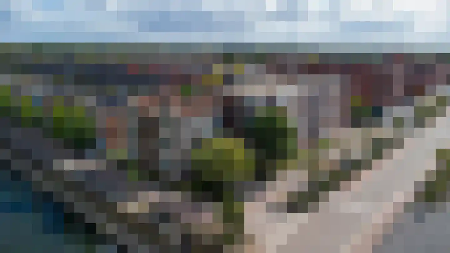 Lavendel 428 Cuijk thumbnail 7
