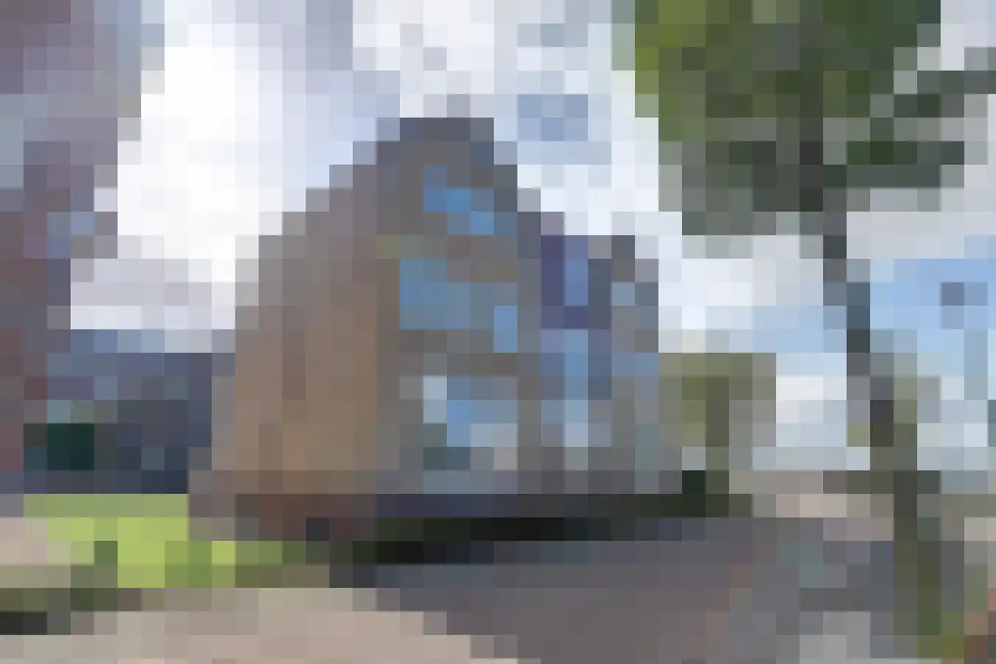 Lavendel 428 Cuijk thumbnail 9