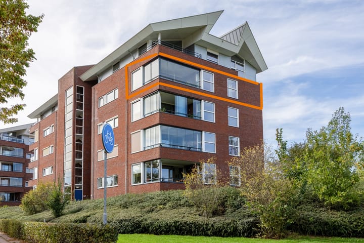 Lavendel 429 in Cuijk