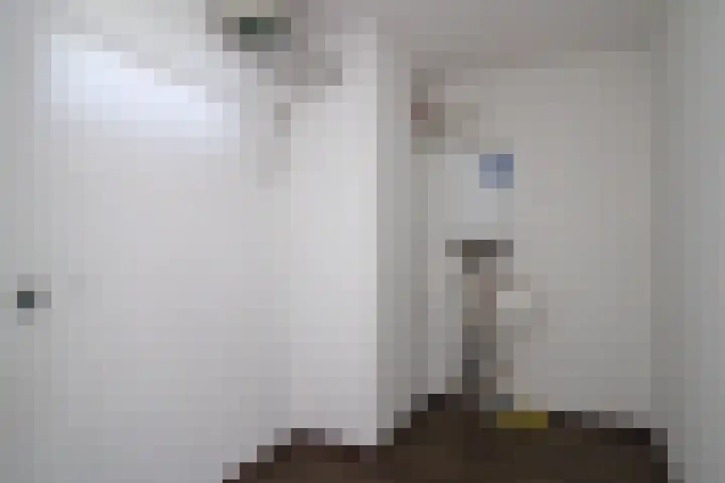 Lavendel 442 Cuijk thumbnail 28