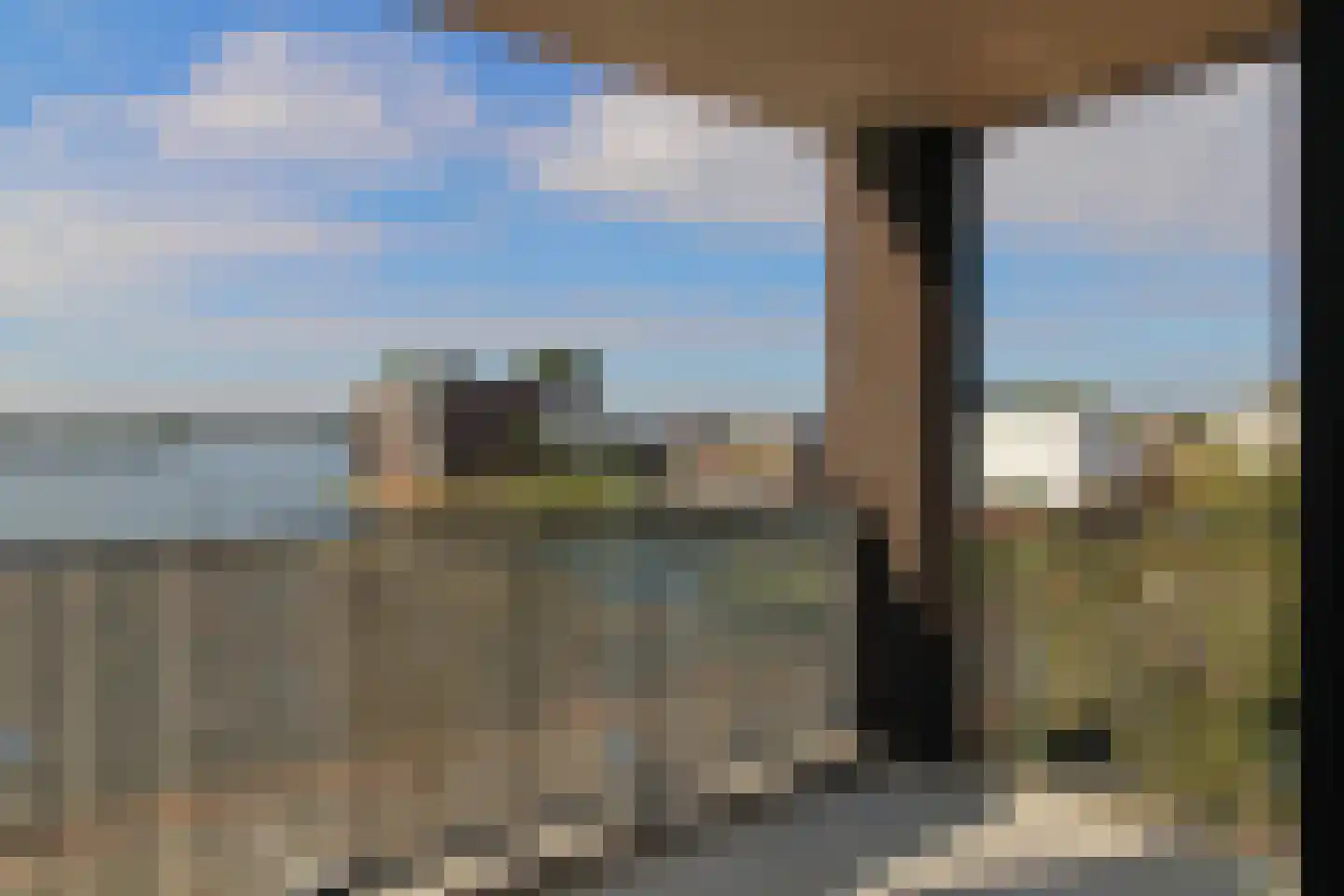 Lavendel 442 Cuijk thumbnail 39