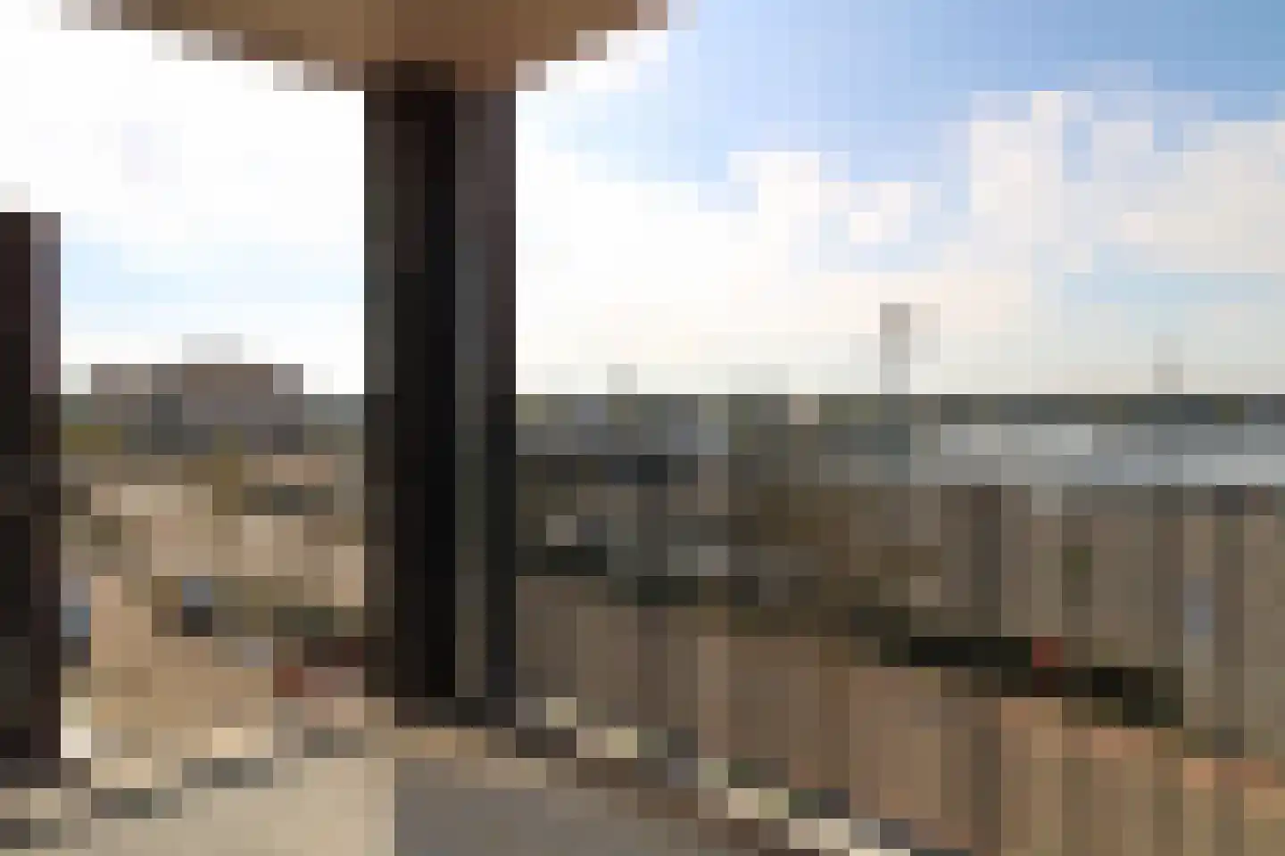Lavendel 442 Cuijk thumbnail 41