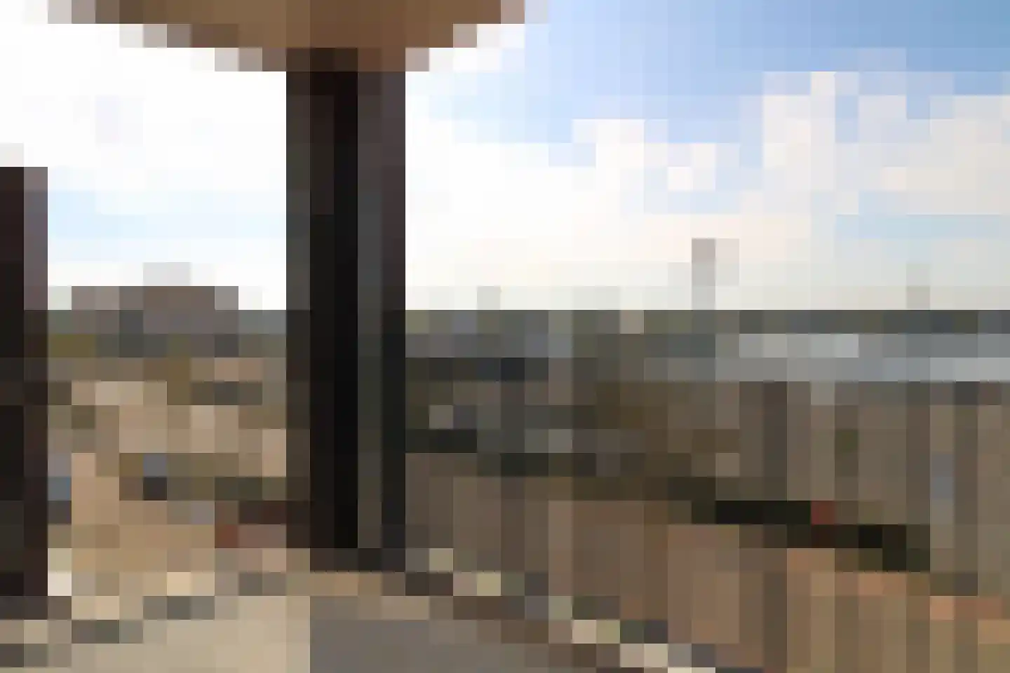 Lavendel 442 Cuijk thumbnail 7