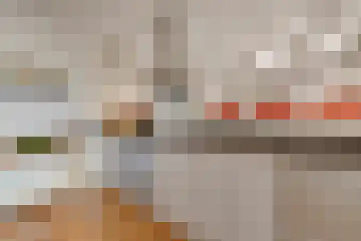 Lavendel 445 Cuijk thumbnail 12