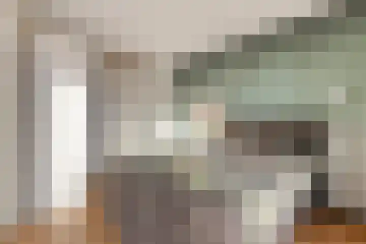 Lavendel 445 Cuijk thumbnail 16