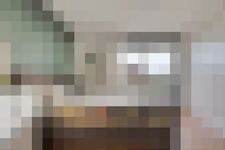 Lavendel 445 Cuijk thumbnail 17