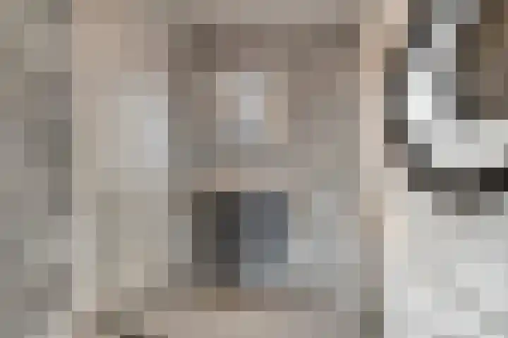 Lavendel 445 Cuijk thumbnail 19