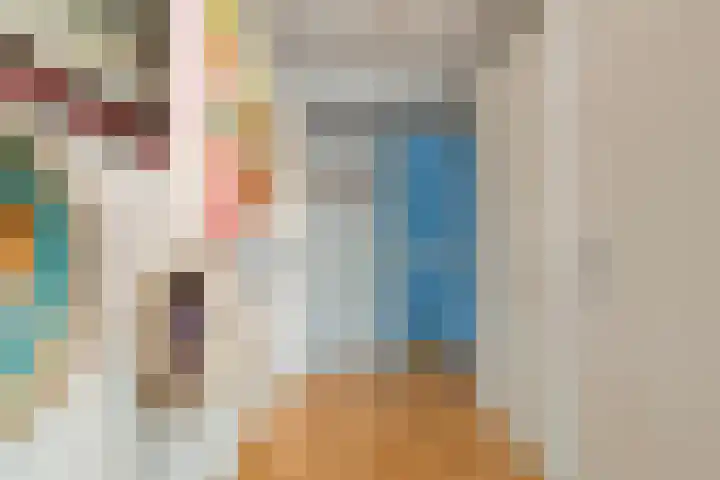 Lavendel 445 Cuijk thumbnail 23