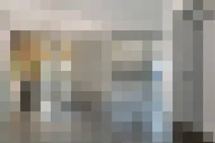 Lavendel 445 Cuijk thumbnail 27