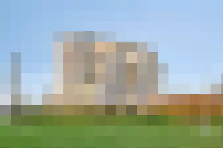 Lavendel 445 Cuijk thumbnail 35