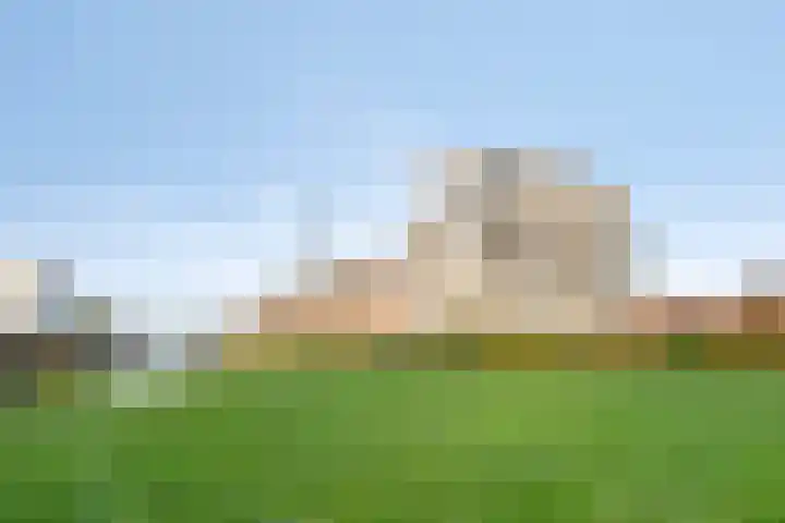 Lavendel 445 Cuijk thumbnail 36