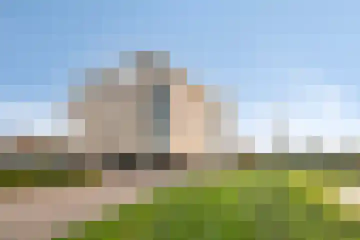 Lavendel 445 Cuijk thumbnail 37