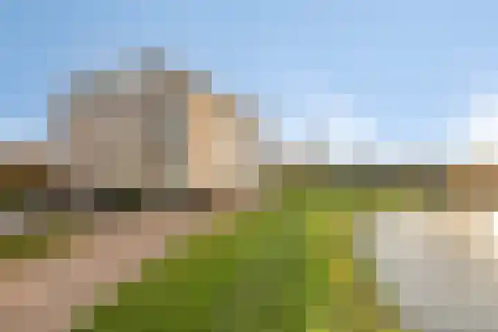 Lavendel 445 Cuijk thumbnail 38