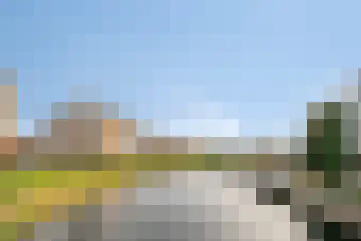 Lavendel 445 Cuijk thumbnail 39