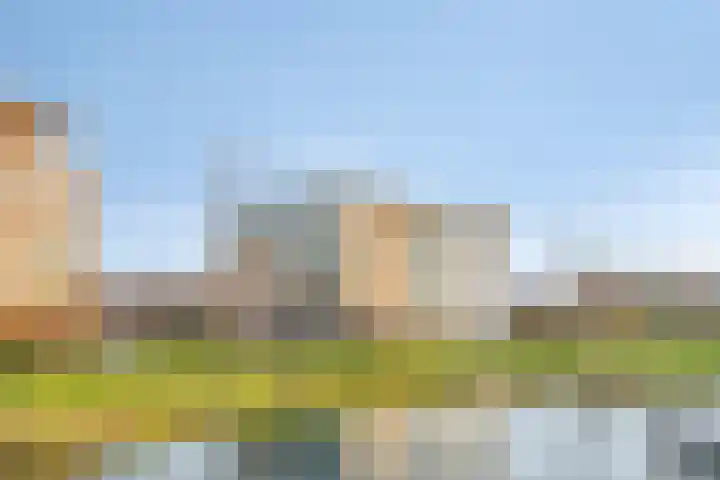 Lavendel 445 Cuijk thumbnail 40