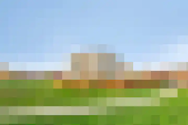 Lavendel 445 Cuijk thumbnail 41