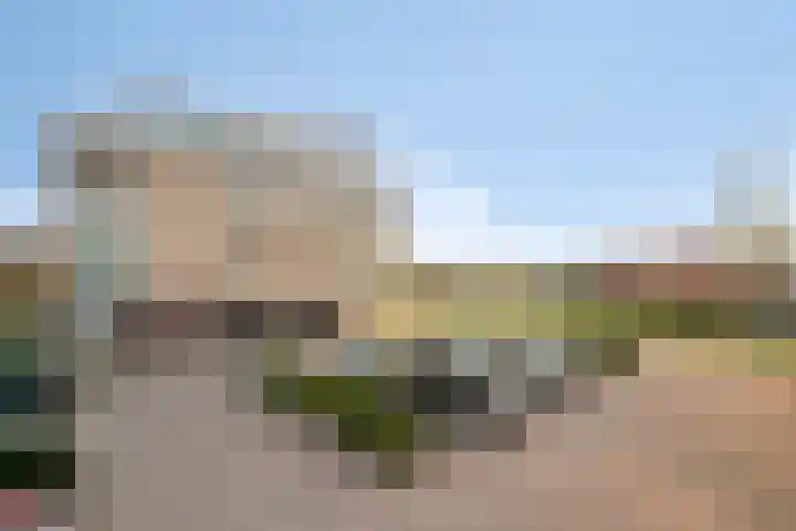 Lavendel 445 Cuijk thumbnail 43